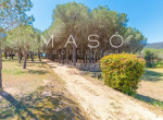 maso-property-a0A0X000027B5luUAC-image-a07IV00002aPcXaYAK.jpg