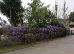 maso-property-a0AIV00000BXwbZ2AT-image-a07IV00002L3JlOYAV.jpg