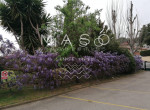 maso-property-a0AIV00000BXwbZ2AT-image-a07IV00002rrsXuYAI.jpg