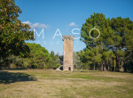 maso-property-a0AIV00000KlYlt2AF-image-a07IV00002kVjXFYA0.jpg
